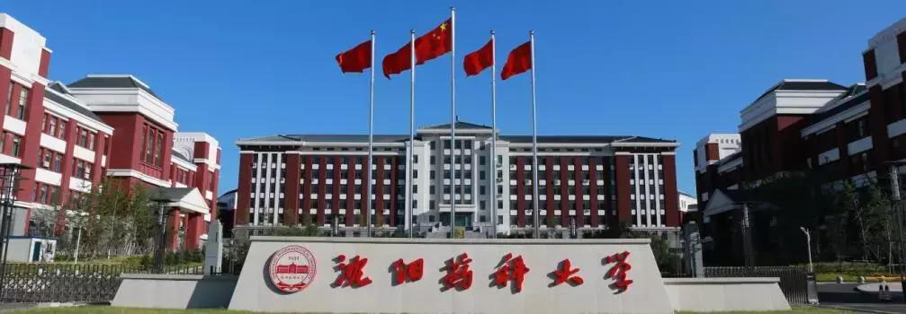 沈阳排名前十的大学在国内的排名,沈阳市大学排行榜2007