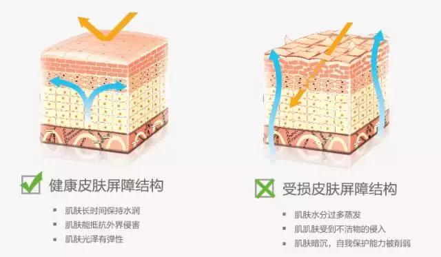 敏感肌冬季护理小常识,敏感肌的春季防敏攻略来咯
