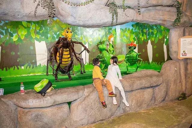 厦门旅行攻略亲子游,厦门自由行亲子游最强攻略