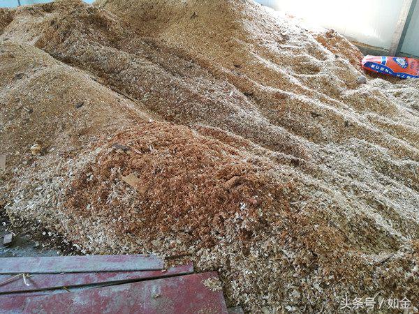 养殖场发酵床的制作方法,如何制作发酵床不用菌种