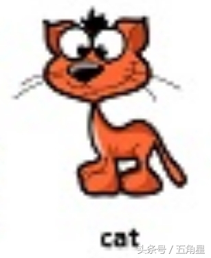 30个动物英语单词视频,动物的英语单词常见100个