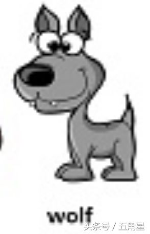 30个动物英语单词视频,动物的英语单词常见100个