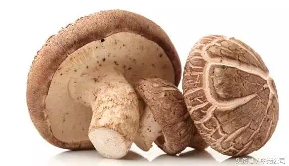 有利于肠道排便的食物有哪些,吃什么菜对肠道便秘有好处