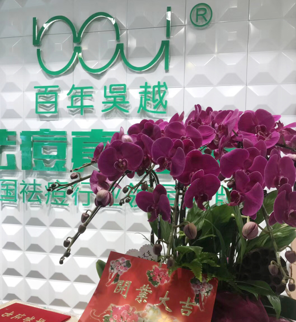 百年吴越最新视频,百年吴越直播