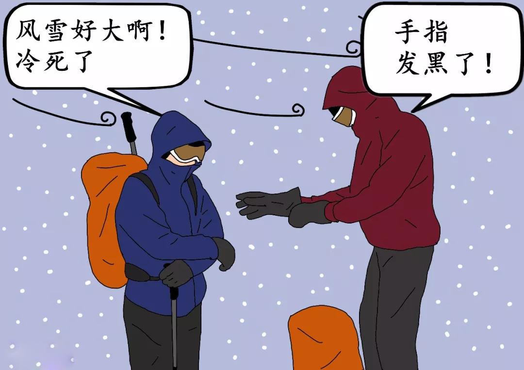 菜鸟日记在线观看,菜鸟日记最新版