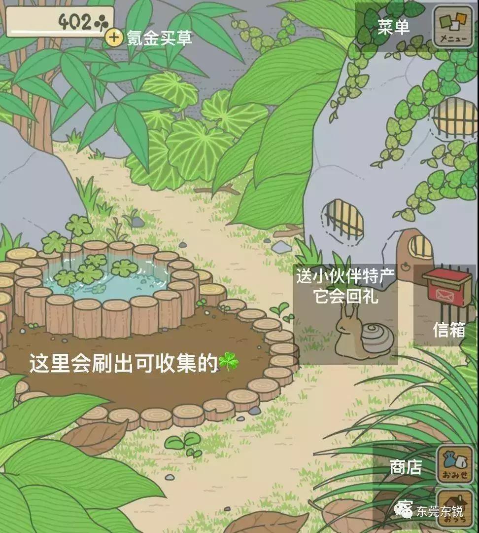 蛙宝的缺点,蛙宝的真实样子