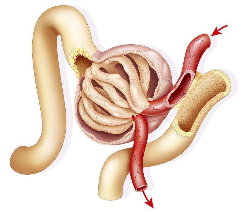肾病患者要低磷饮食,肾病要低磷饮食吗