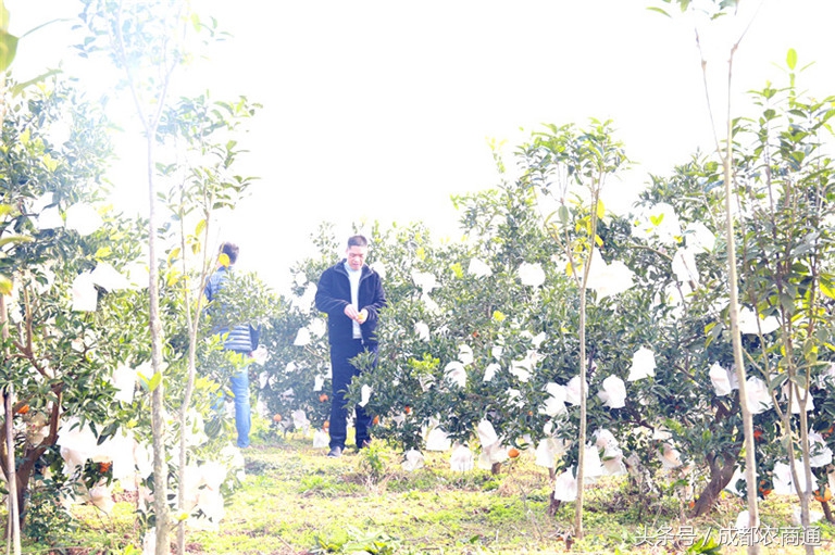 苦守荒山数十载，宝剑锋从磨砺出！