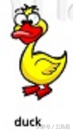 30个动物英语单词视频,动物的英语单词常见100个