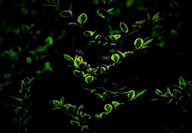 茅侃侃自杀拷问创业者，什么是创业？什么是成功？