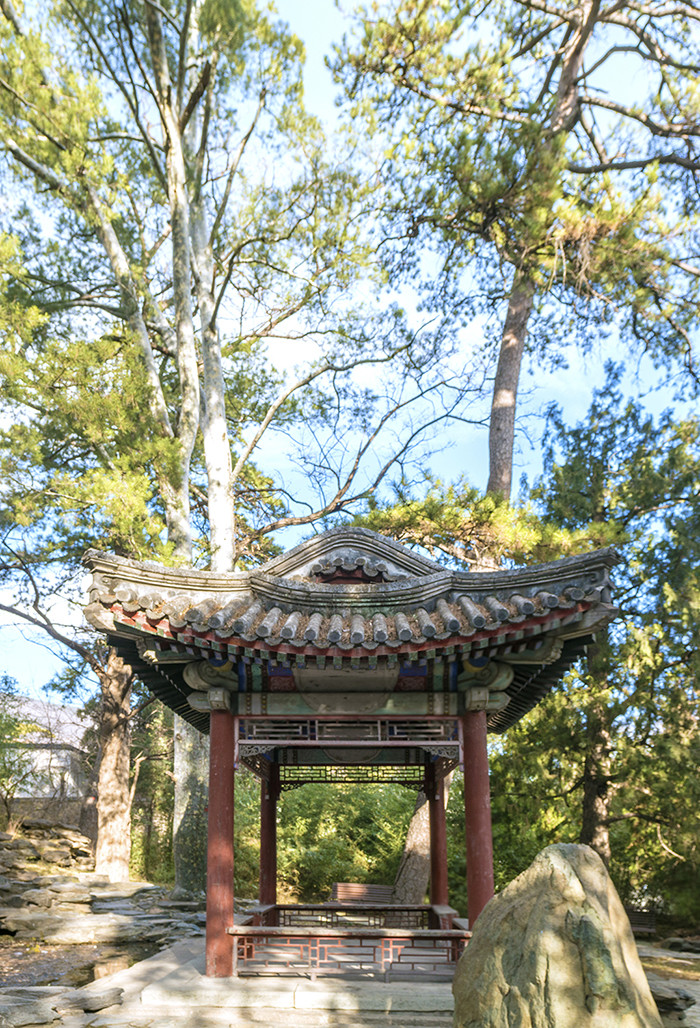 无雪的冬天原文,无雪的冬天