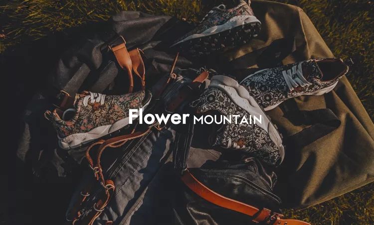 nikeadidas穿搭鞋,nikeadidas平替