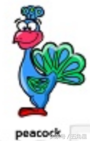 30个动物英语单词视频,动物的英语单词常见100个