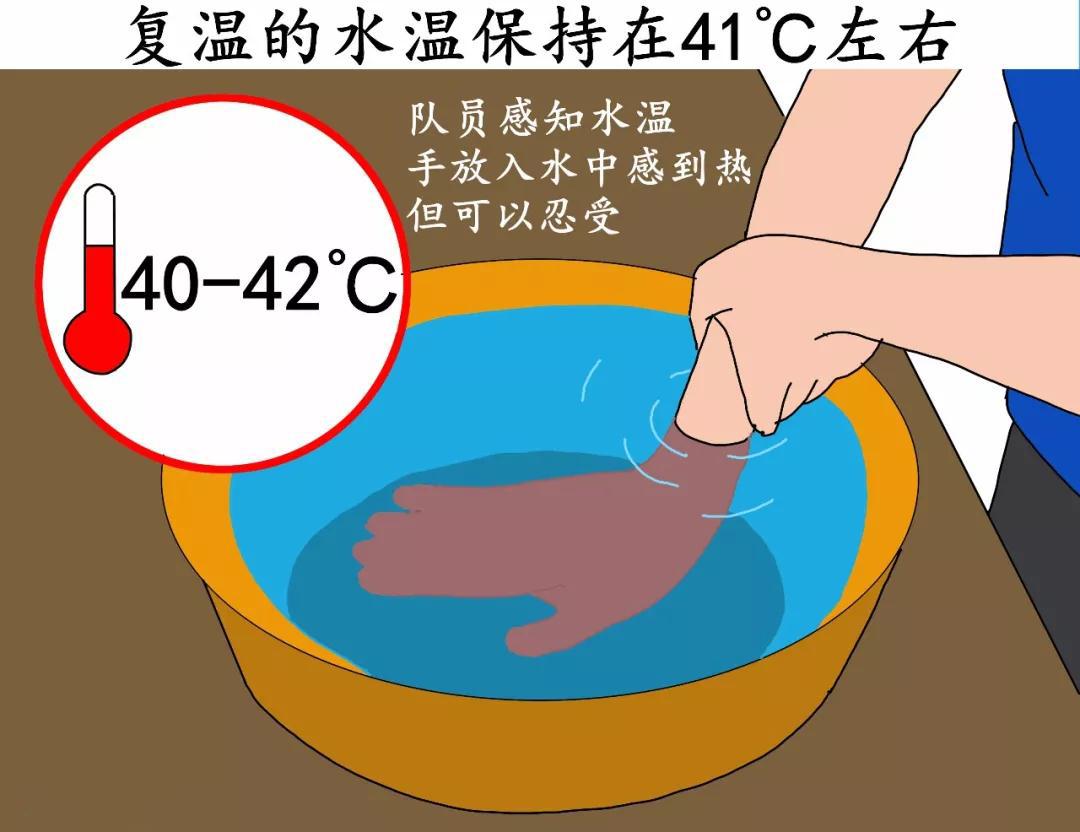 菜鸟日记在线观看,菜鸟日记最新版
