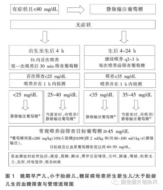 手撕新生儿低血糖的谣言｜曾有一个新生儿……