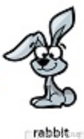 30个动物英语单词视频,动物的英语单词常见100个