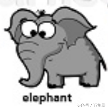 30个动物英语单词视频,动物的英语单词常见100个