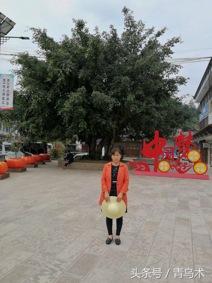 磨黑杨丽坤,磨黑古镇杨丽坤故居