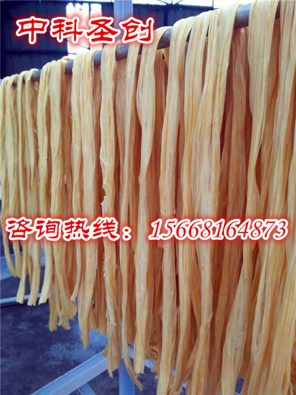 全自动腐竹机一机多用,一机多用豆制品机器