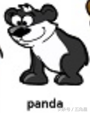 30个动物英语单词视频,动物的英语单词常见100个