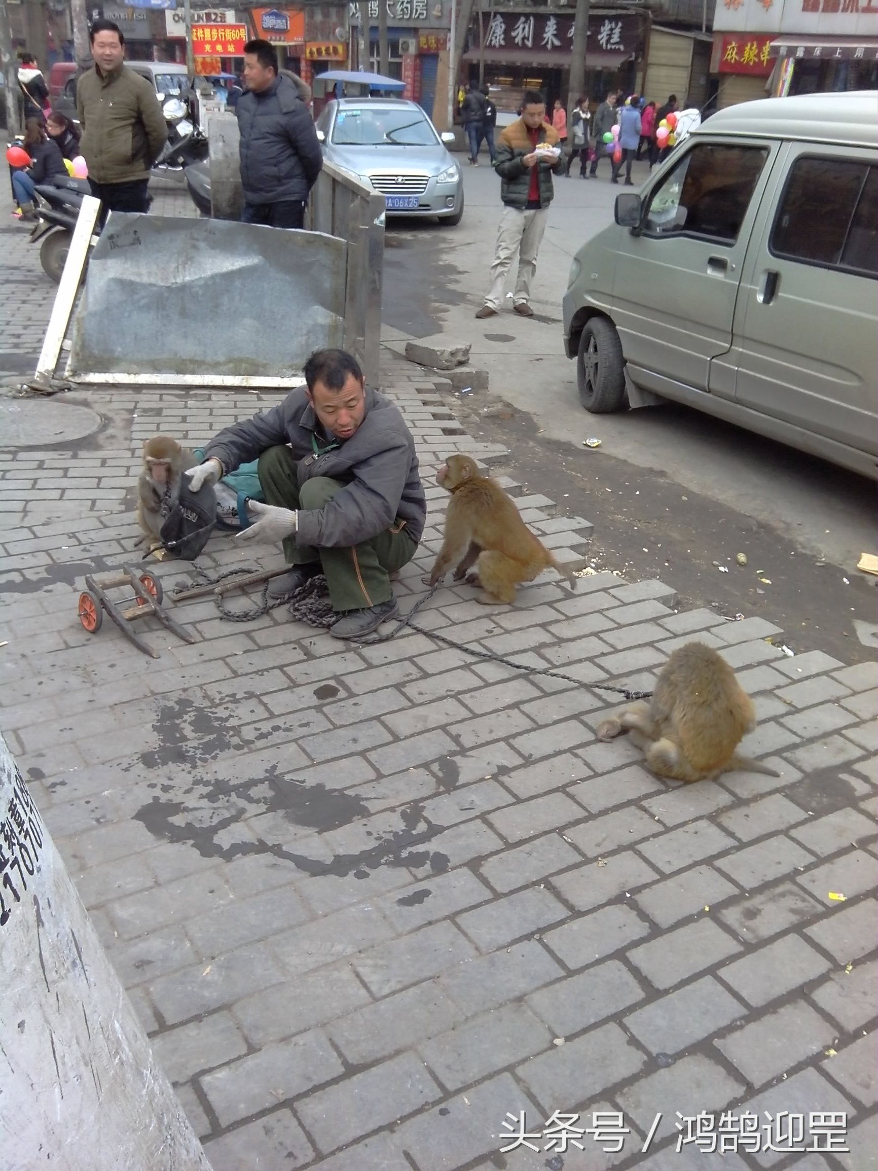 “猴戏”即将退出生活舞台，带走了我们的乐趣和记忆