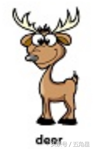 30个动物英语单词视频,动物的英语单词常见100个