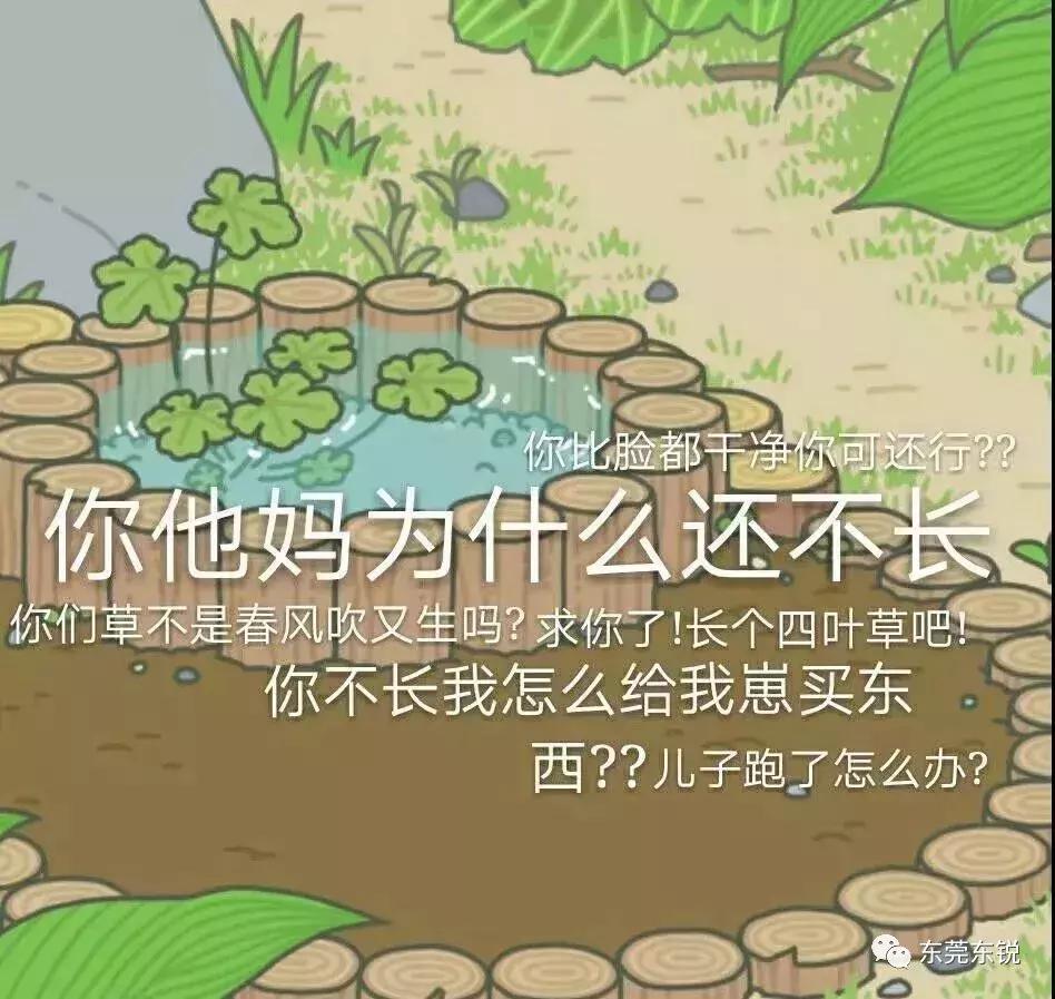 蛙宝的缺点,蛙宝的真实样子