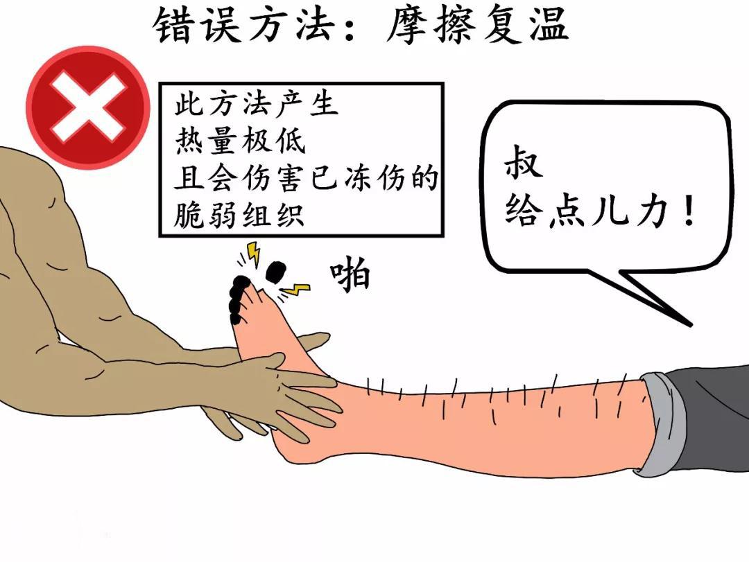 菜鸟日记在线观看,菜鸟日记最新版