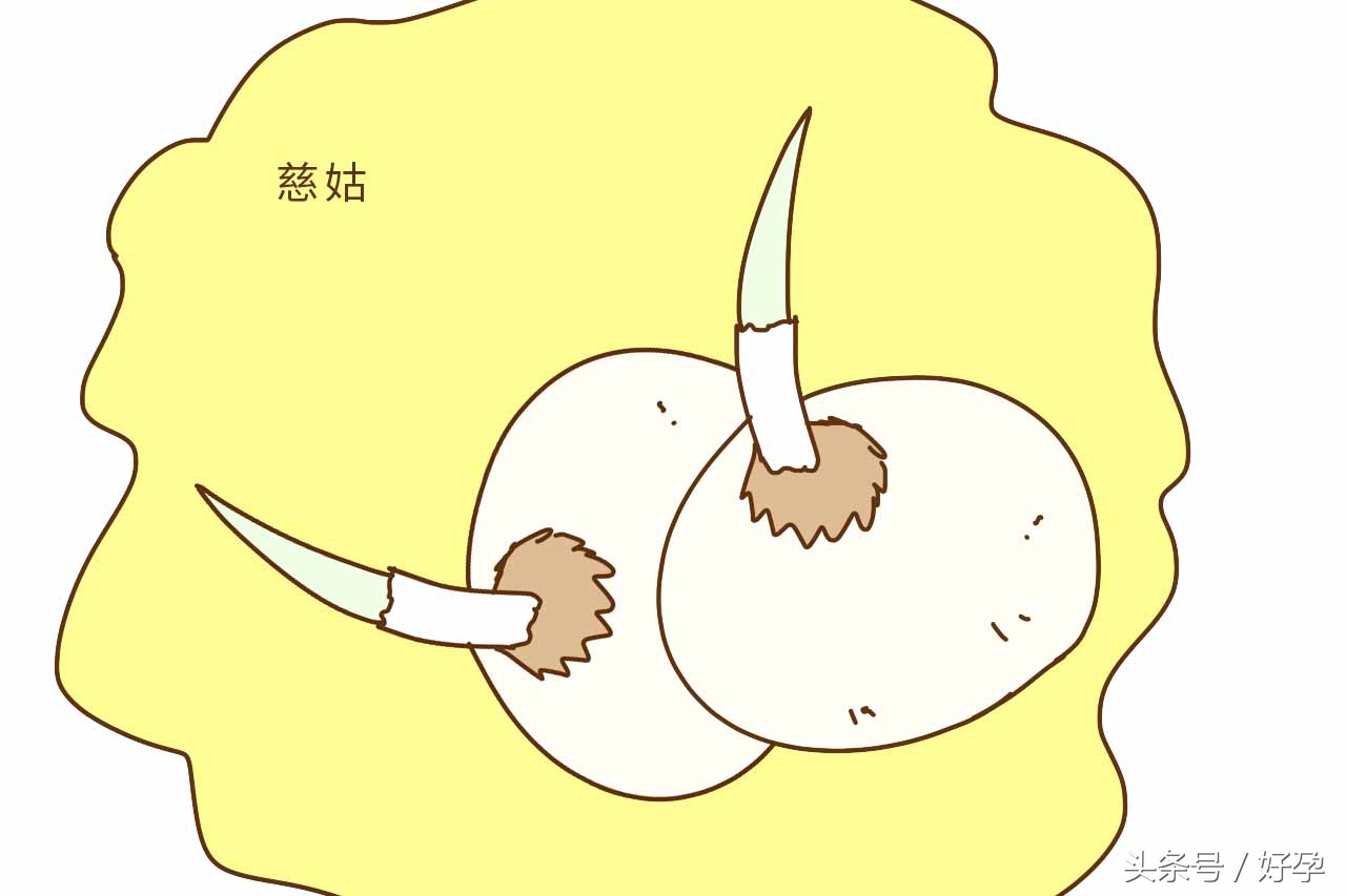 孕妇怀孕禁忌蔬菜,怀孕后必须忌口的10种食物