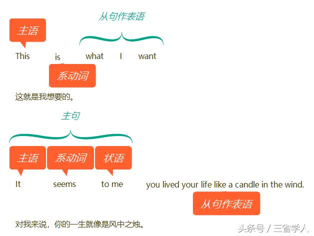 表语是什么状语是什么,表语是什么意思举例说明