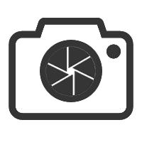 你们养的蛙现在回家了吗,养的蛙都去哪里了