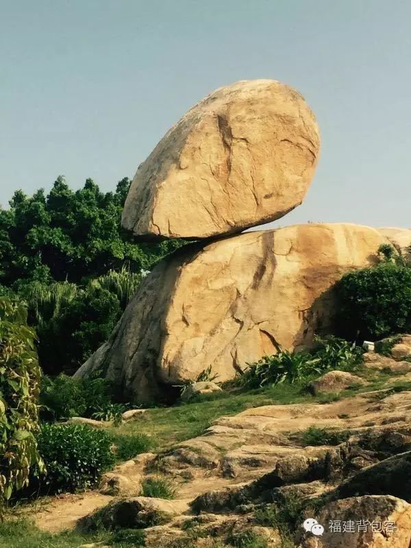 你们养的蛙现在回家了吗,养的蛙都去哪里了