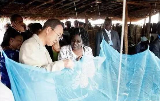 他在非洲用淘宝卖蚊帐，一年卖了两个亿