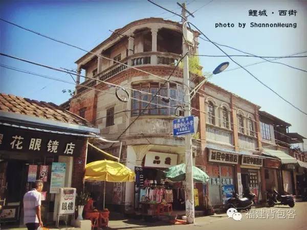 你们养的蛙现在回家了吗,养的蛙都去哪里了