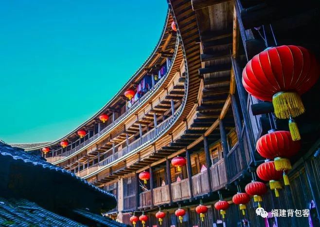 你们养的蛙现在回家了吗,养的蛙都去哪里了