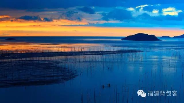 你们养的蛙现在回家了吗,养的蛙都去哪里了