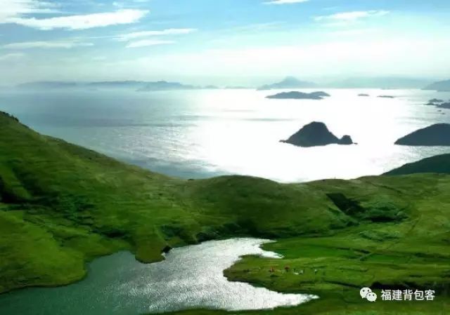 你们养的蛙现在回家了吗,养的蛙都去哪里了