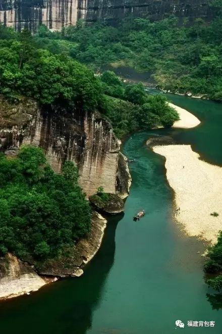 你们养的蛙现在回家了吗,养的蛙都去哪里了