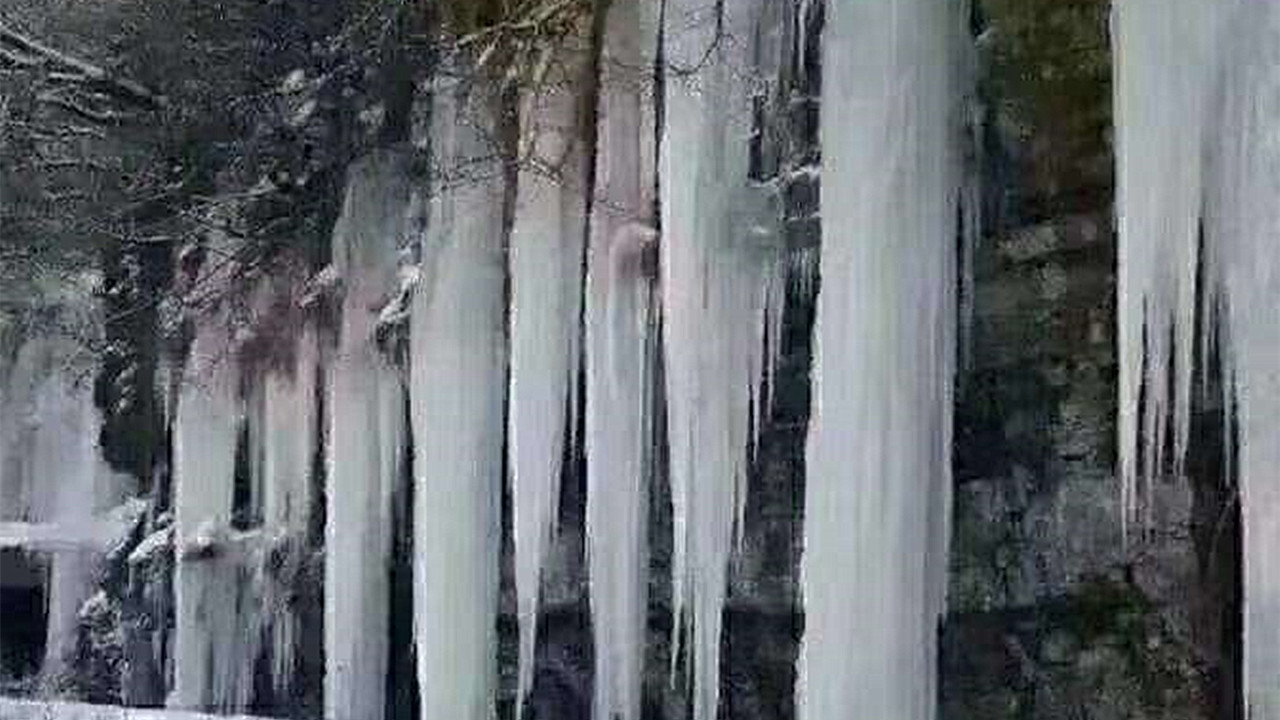 养蜂最新春繁法及关注事项,蜜蜂春旱怎么处理