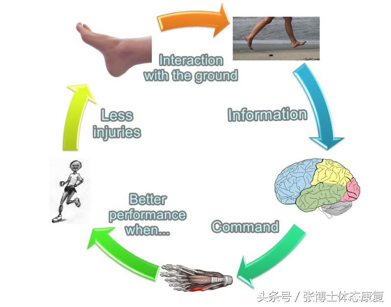 崴脚怎么避免习惯性扭伤,踝关节扭伤一直崴脚怎么办