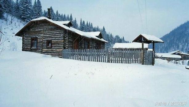 「麦田读诗」那些潇洒痴狂的诗句（一）