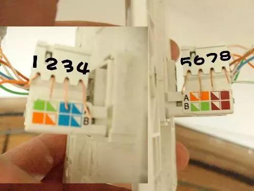 网线插座和水晶头的顺序一样么,一头水晶头一头插座的网线怎么接