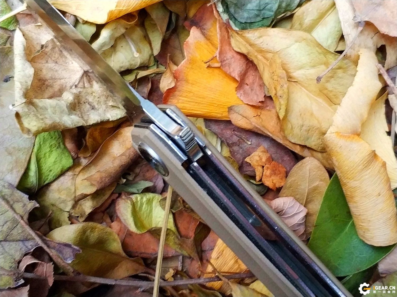 有没有一款双刃刀具，既是*刀折**，又能兼具捅刺和切削的优点呢？