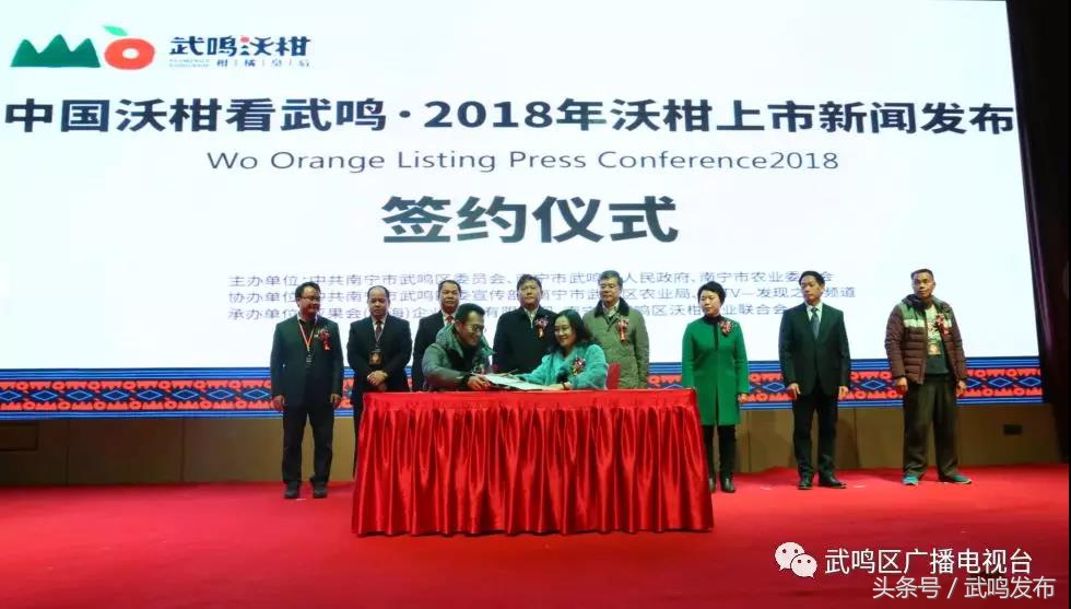 武鸣沃柑开园上市,武鸣沃柑2024发布现场