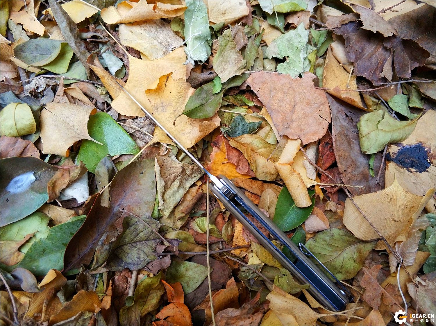 有没有一款双刃刀具，既是*刀折**，又能兼具捅刺和切削的优点呢？