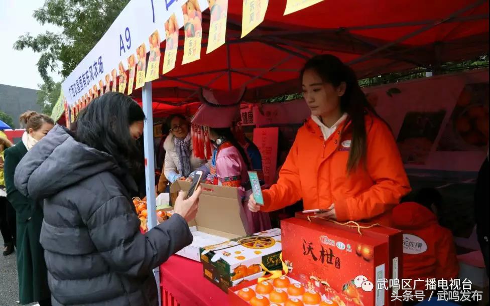 武鸣沃柑开园上市,武鸣沃柑2024发布现场