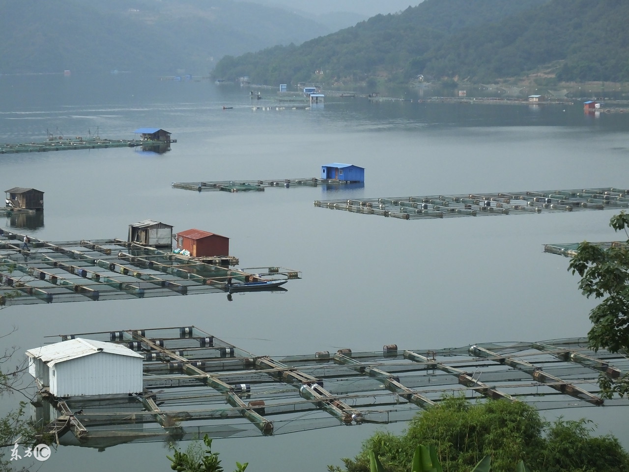 养殖水产一年几十万,水产养殖网箱可以用几年