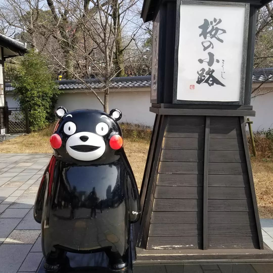 蛙儿子的旅行,蛙儿子旅行攻略