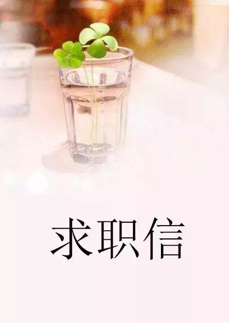 小细节大文明,个人求职信技巧