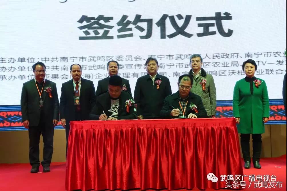 武鸣沃柑开园上市,武鸣沃柑2024发布现场